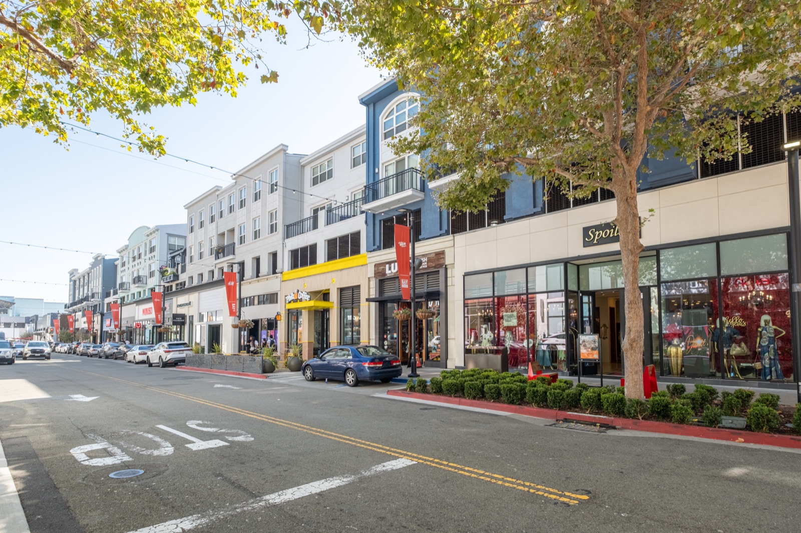Bay Street One, photo 12