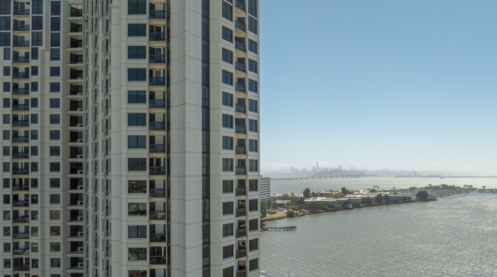Pacific Park Plaza, photo 4